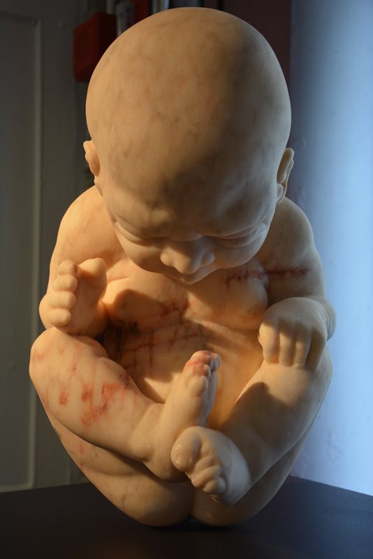 Inner Baby, by Heena Kim, 2015, marble