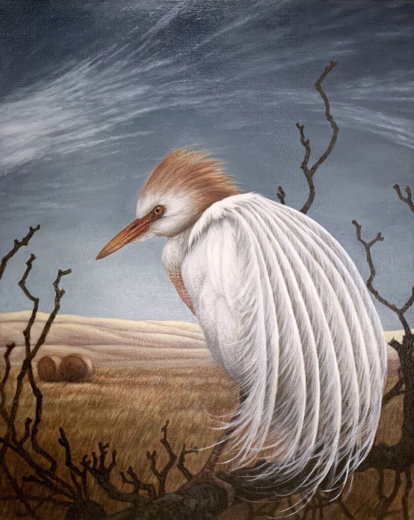 Cattle Egret, by Meredith Lachin, 2020, oil on canvas