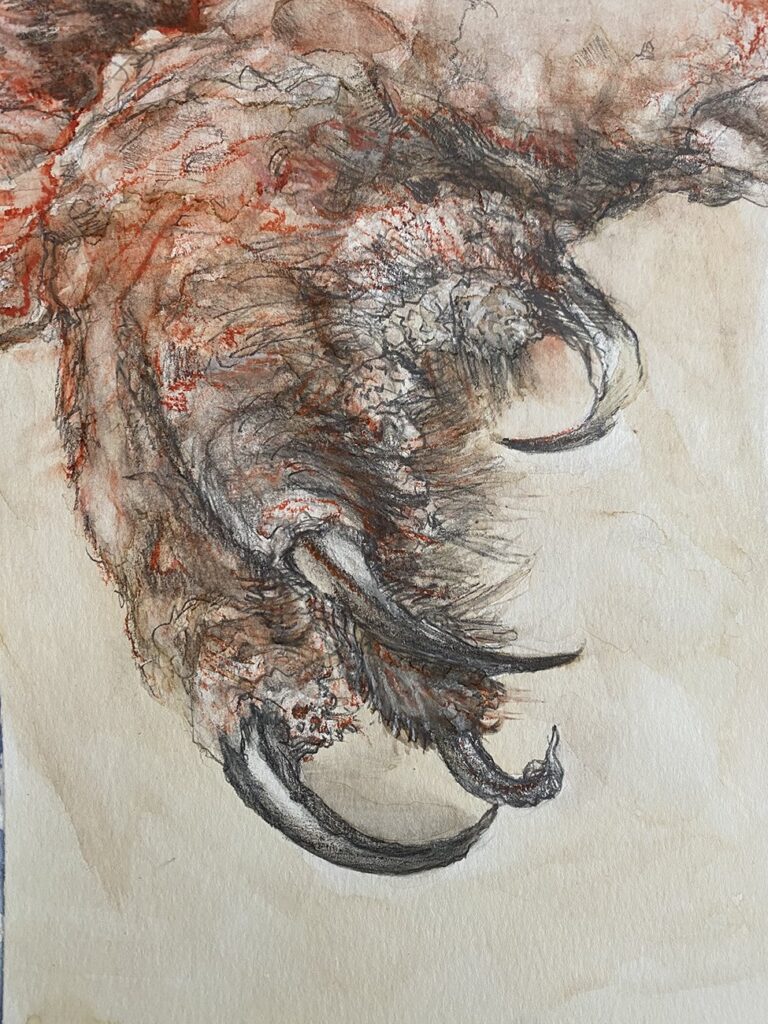 Claw, by Anastasia Lopoukhine, 2020, pastel, graphite, and coffee on paper