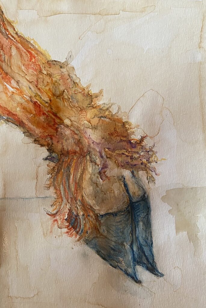 Hoof, by Anastasia Lopoukhine, 2020, pastel on paper