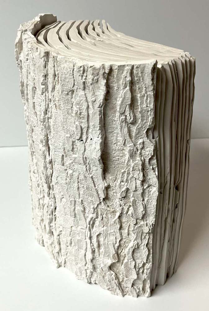 Cross-Section of a Log, by Owen Lynskey, 2024, plaster, wood, and polymer adhesive