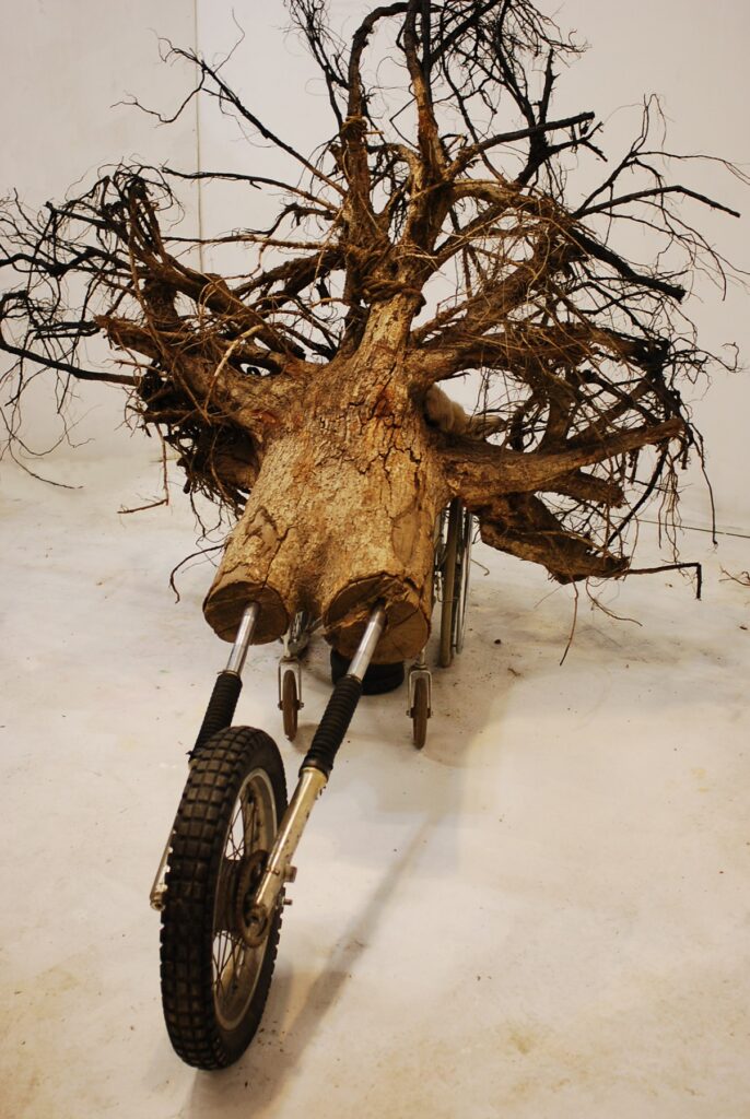 AlphaComa, by Chris Marshall, 2015