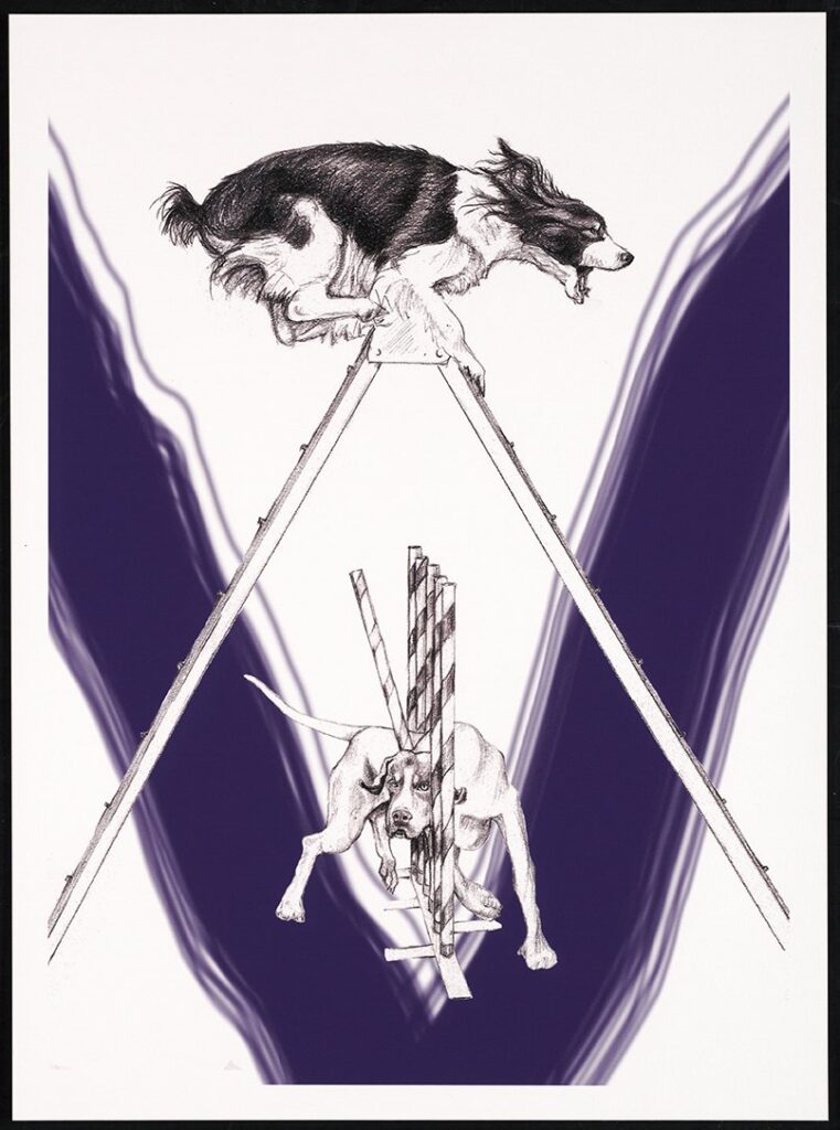 On the Apex, by Katherine McGough, 2015