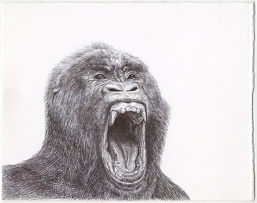 Ape, by Guno Park, 2014, Ink on paper