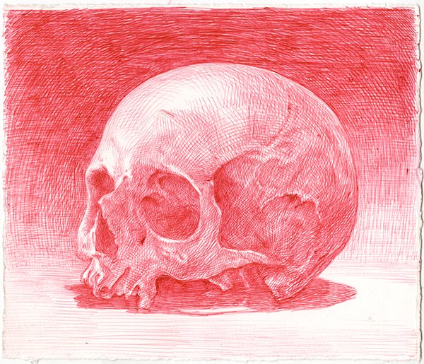 Sapien, by Guno Park, 2014, Ink on paper