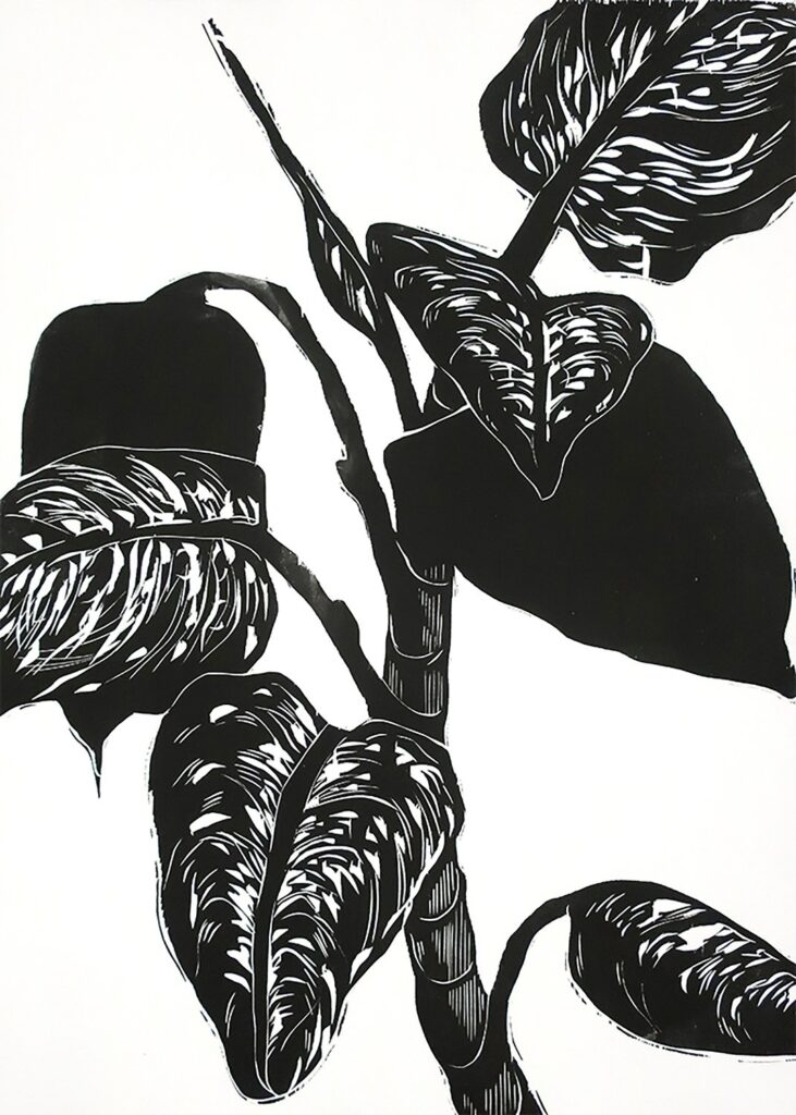 Dieffenbachia De Mi Corazón, by Luján Pérez Hernández, 2019