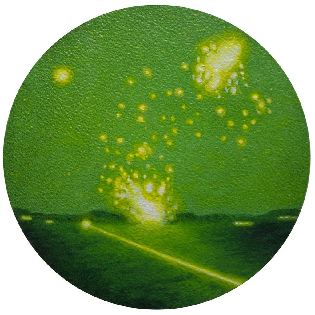 Night Vision #3, by James Raczkowski, 2015, Oil on acrylic disc, 6.25 inches diameter