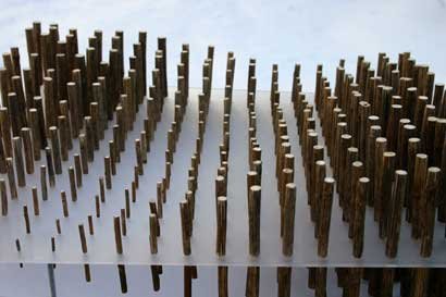 Reed Topo Displacement: Park Avenue 2, by Winn Rea, 2010