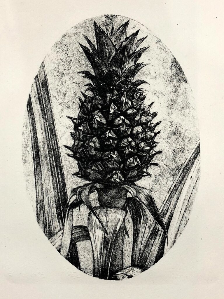 The Little Pineapple, by Maxwell Roath, 2019, marble lithograph on La Ceiba Grafica paper