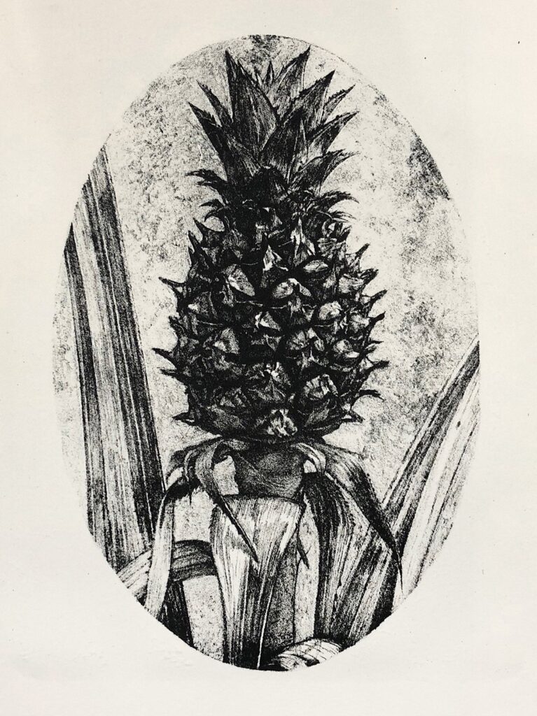 The Little Pineapple, by Maxwell Roath, 2019, marble lithograph on La Ceiba Grafica paper