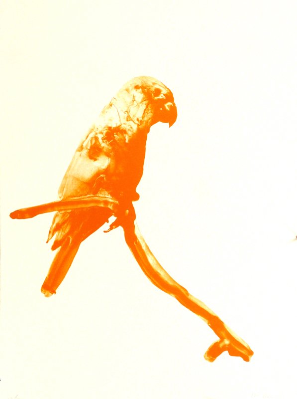 IGUACA, by Alexis Rockman, 2011, Lithograph, ink and soil from Iguaca Falls, Puerto Rico on ragcote paper