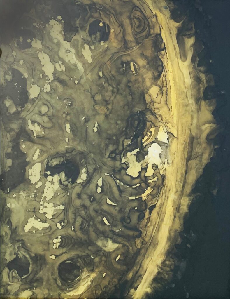 Joules, by Johanna Ryan, 2019, ink and gouache on mylar