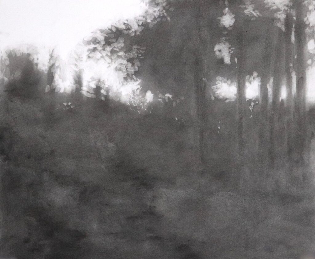 Aperture 5, by Nicholas Sanchez, 2018, Charcoal on paper