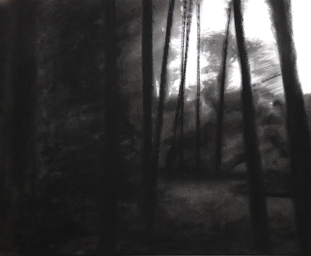 Aperture 9, by Nicholas Sanchez, 2018, Charcoal on paper
