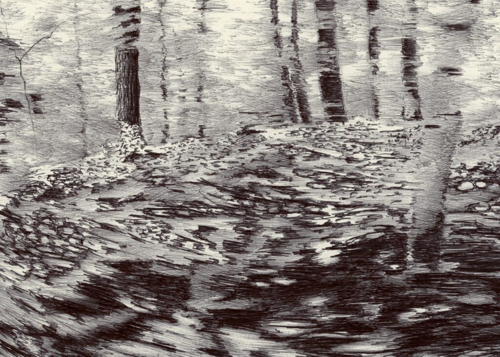Drive by Forest III, by Nicolas V. Sanchez, 2019