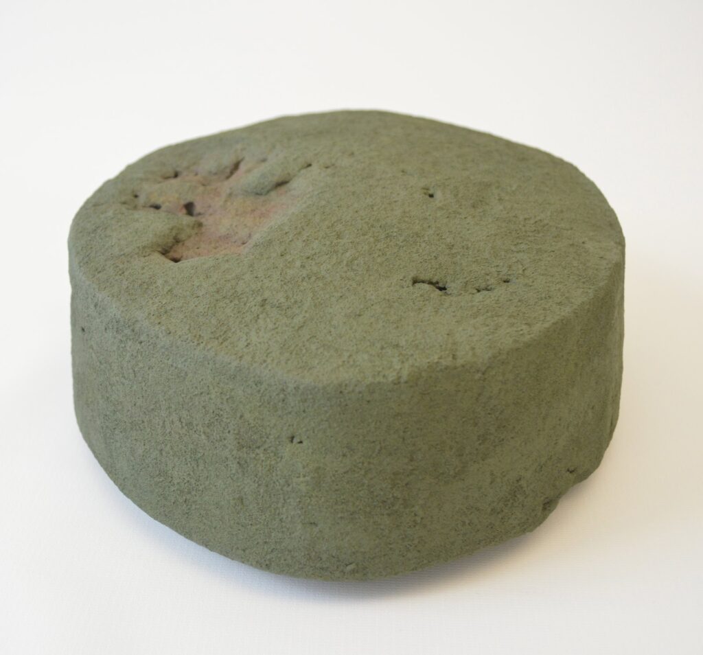 Bush with Bedsore, by Sarah Schlesinger, 2016, Terracotta