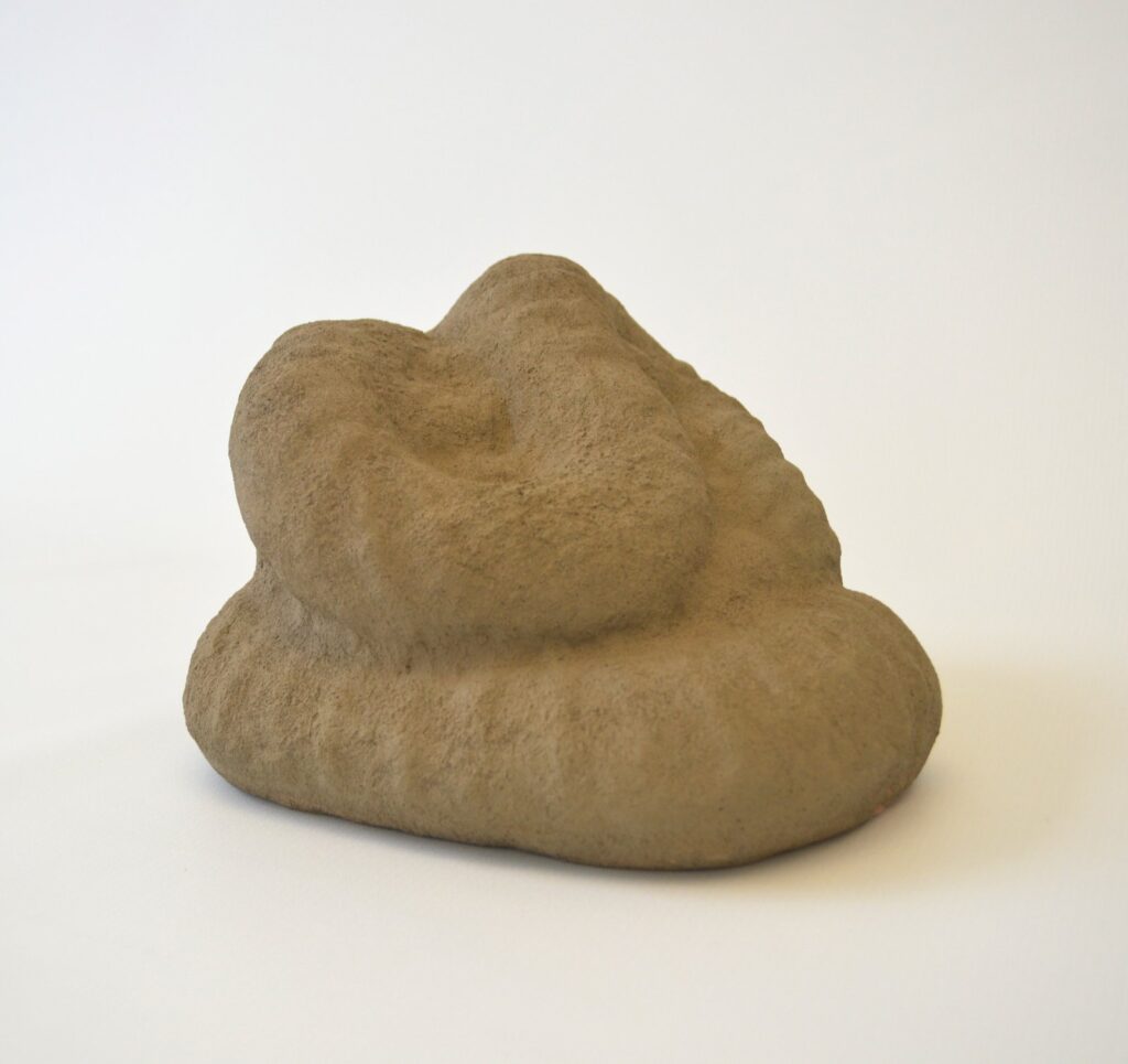 Hedges Wiped out by an Asteroid, by Sarah Schlesinger, 2016, Terracotta