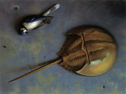 by Wade Schuman