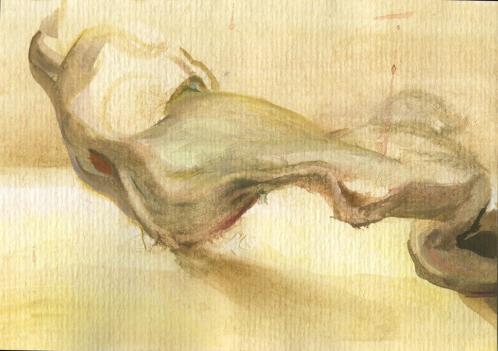 Thinking Form II, by Charlotte Segall, 2015, Watercolor on paper