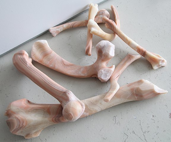 Bones, by Stephen Shaheen, 2014
