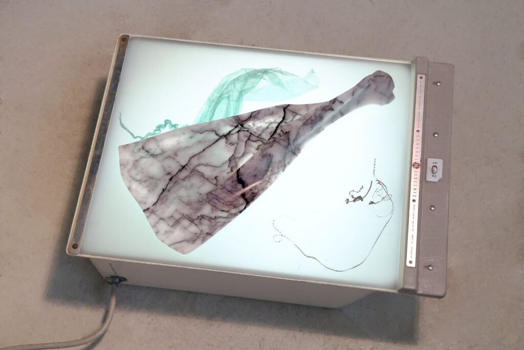Untitled, by Stephen Shaheen, 2018, marble and GE 11FV1 X-Ray viewer