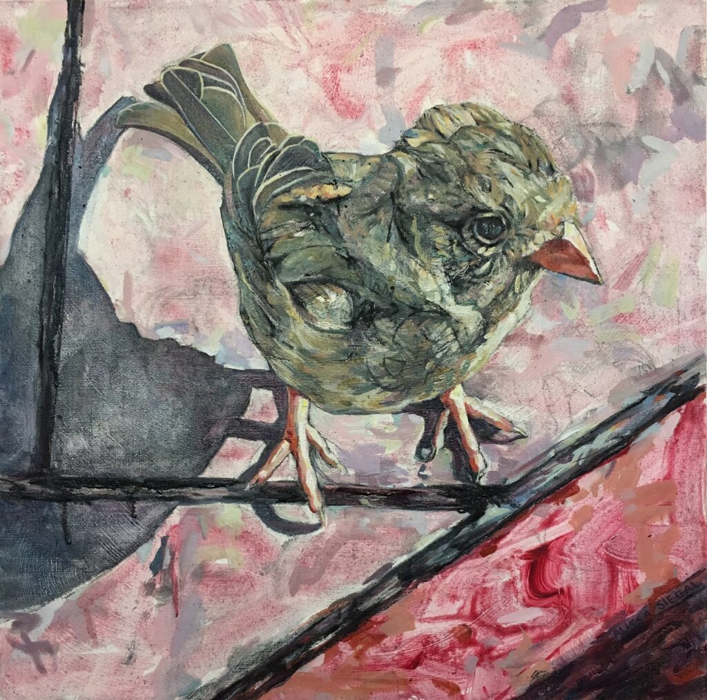 Sparrow, by Alissa Siegal, 2019, charcoal, acrylic