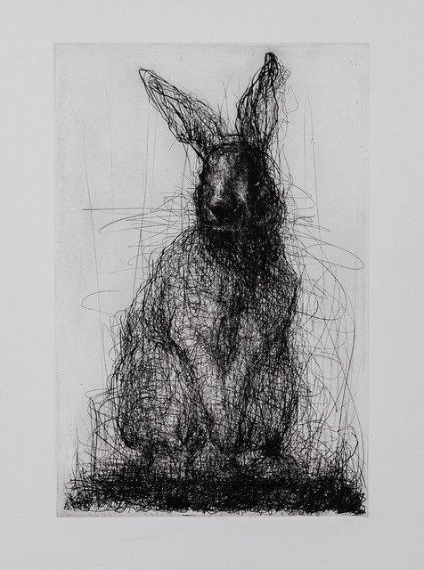 Rabbit, by Susan Siegel, 2018, etching and drypoint on paper