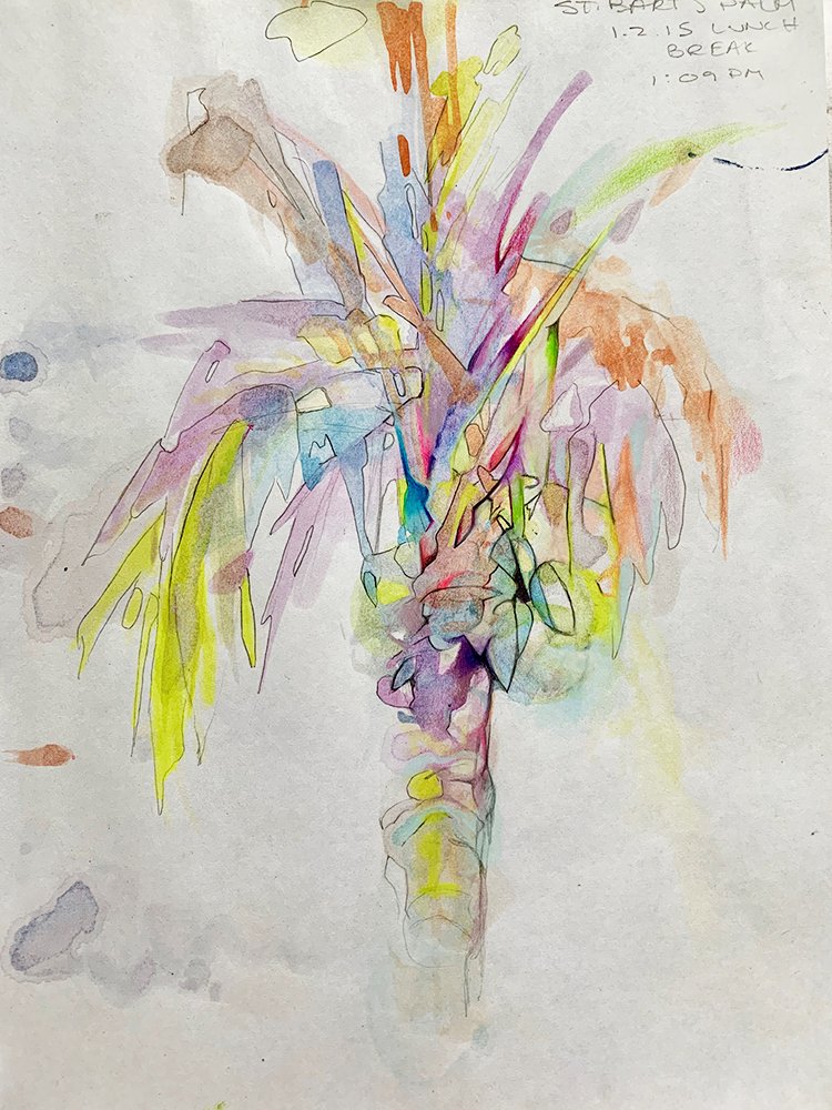 Palm Study I, by Kate Sinclair, 2015, pencil and watercolor on paper