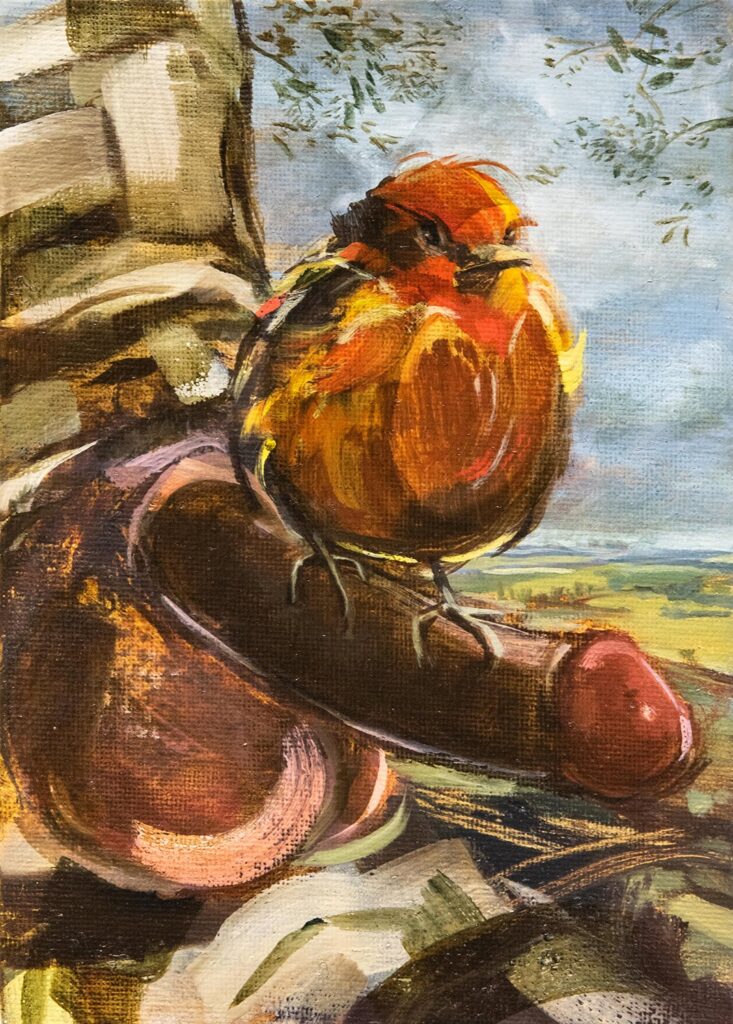 Ruby, by Sharon Thomas, 2020, oil on canvas board