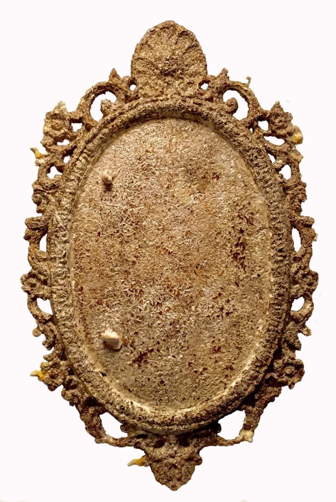 Mycelium Frame 2, by Jennifer Delilah Trammell, 2020