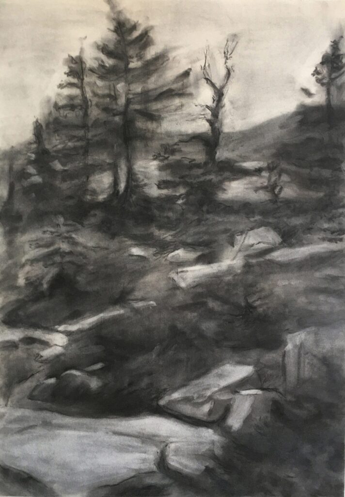Acadia Drawing, by John Volk, 2019, charcoal on paper