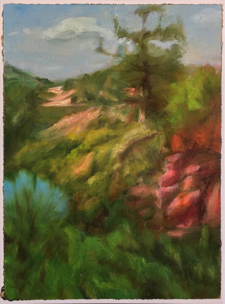 Sunlit Meadow, by John Volk, 2019, oil, charcoal, and shellac on paper