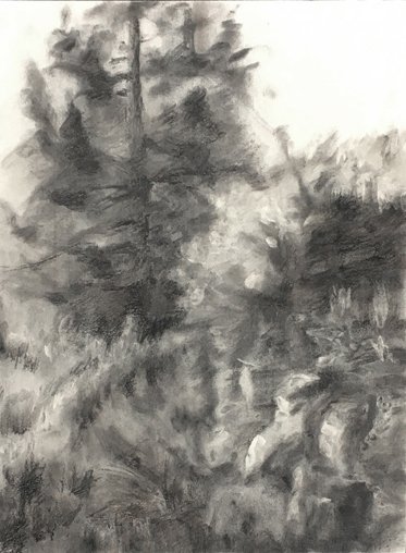 Coulee, by John Volk, 2019, charcoal on paper