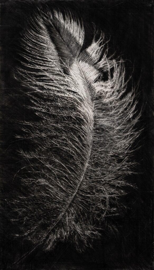 Strix Varia Feather, by Tyler Vouros, 2019, charcoal and water on Fabriano paper mounted to stretched canvas