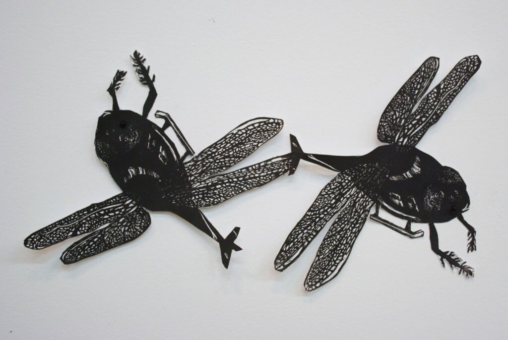 Helio fly, by Aliene de Souza Howell, 2012
