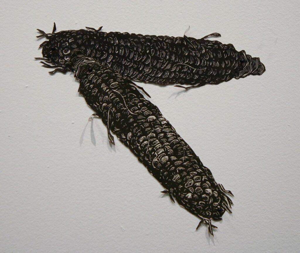 Corn, by Aliene de Souza Howell, 2012