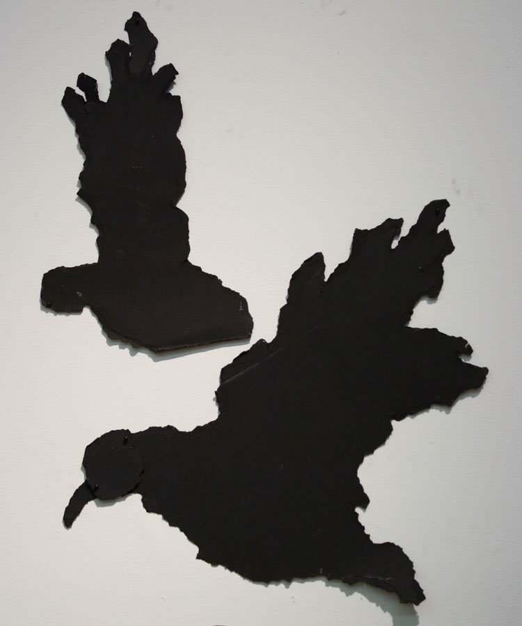 Crow, by Aliene de Souza Howell, 2012