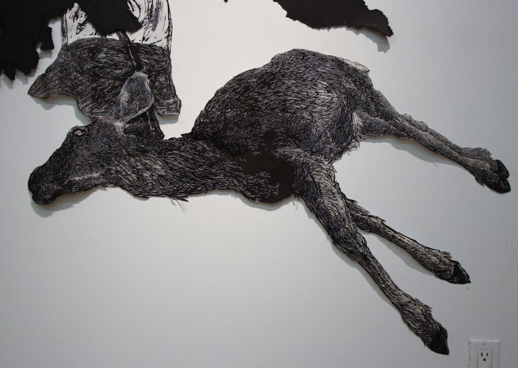Deer, by Aliene de Souza Howell, 2012