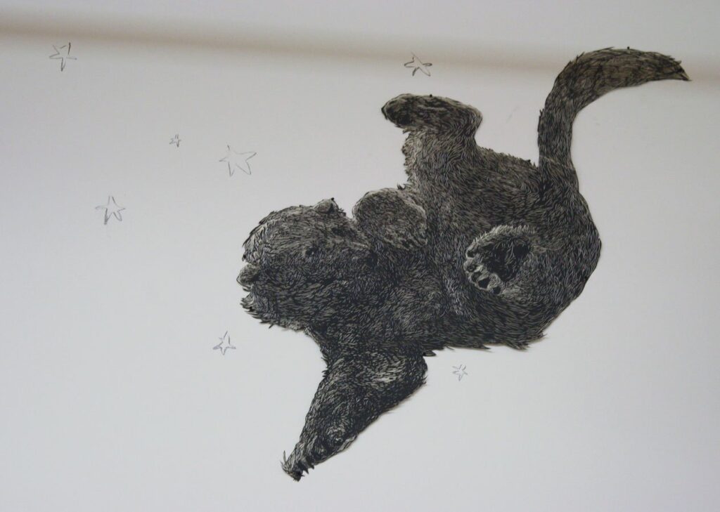 Ursa Minor, by Aliene de Souza Howell, 2012
