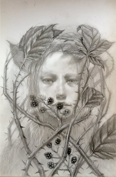 Defenses, by Jessica Damsky, 2012, Graphite and stablio pencil on clay – coated paper
