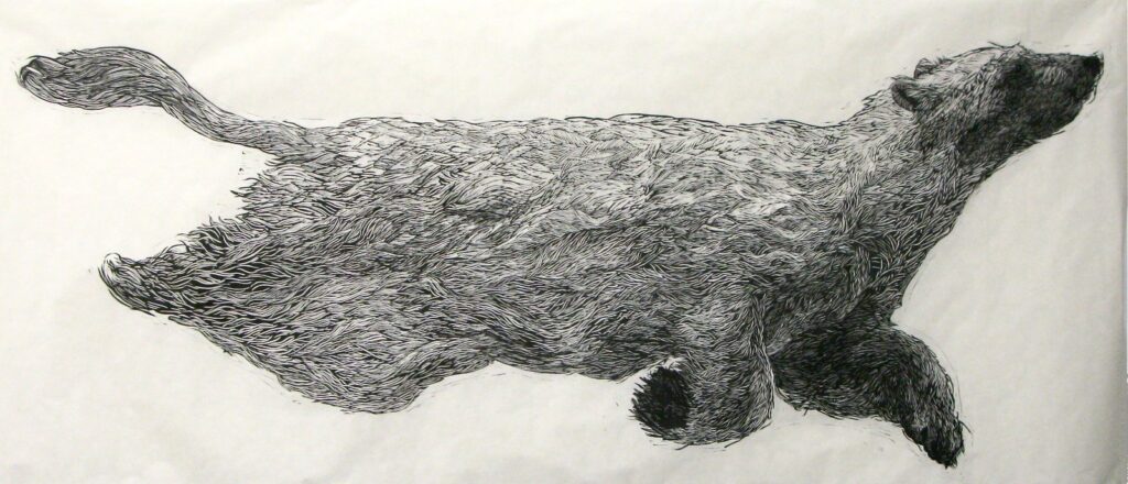 Ursa Major Lost at Sea, by Aliene de Souza Howell, 2012