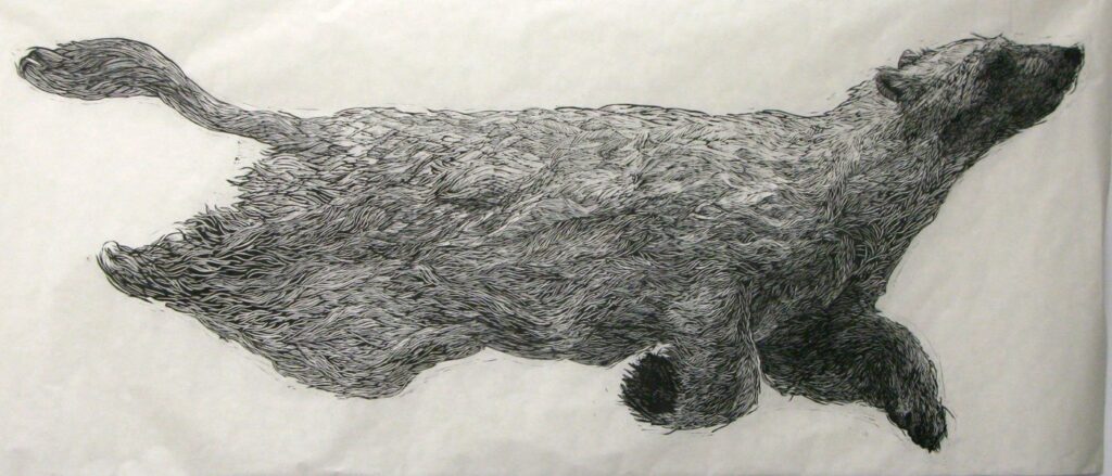 Ursa Major Lost at Sea, by Aliene de Souza Howell, 2012