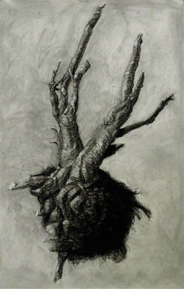 by Brian Fencl