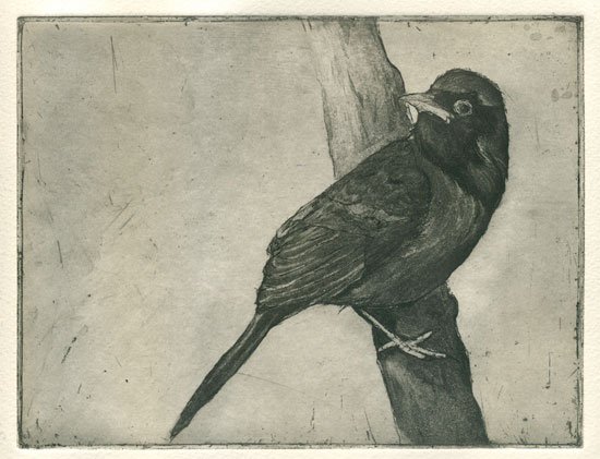 The Last Watch, by Brittany Alexandria Fields, 2011, Etching and aquatint