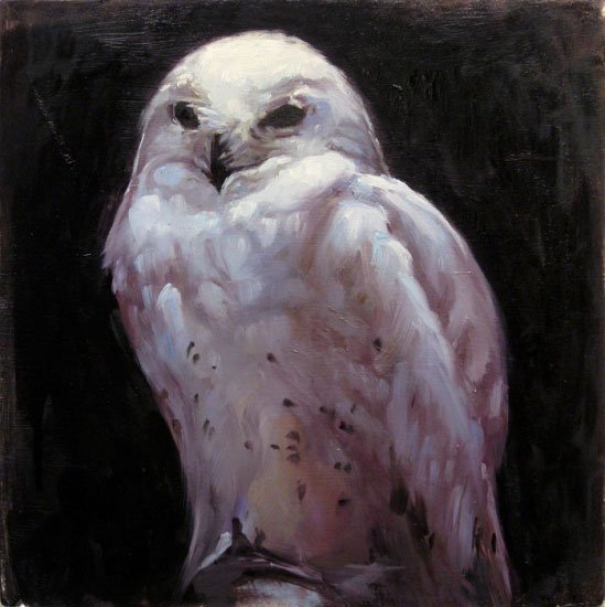 Snowy Owl, by Shauna Finn, 2012, oil on wood