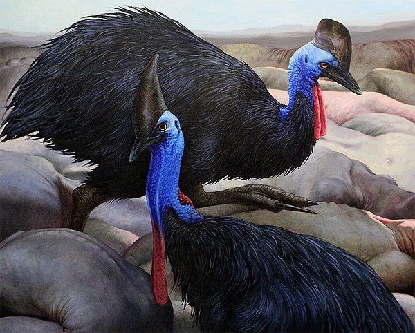 Cassowaries, by Angela Gram, 2012, Oil on canvas