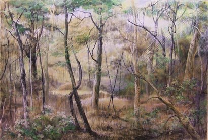 by Clare Hirn