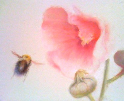 by Elizabeth Hutchinson