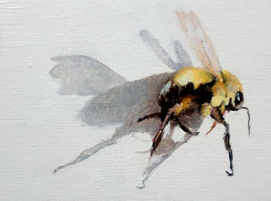 Bee Two, by Elizabeth Hutchinson, 2012, Oil on cradled panel