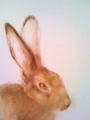 by Elizabeth Hutchinson